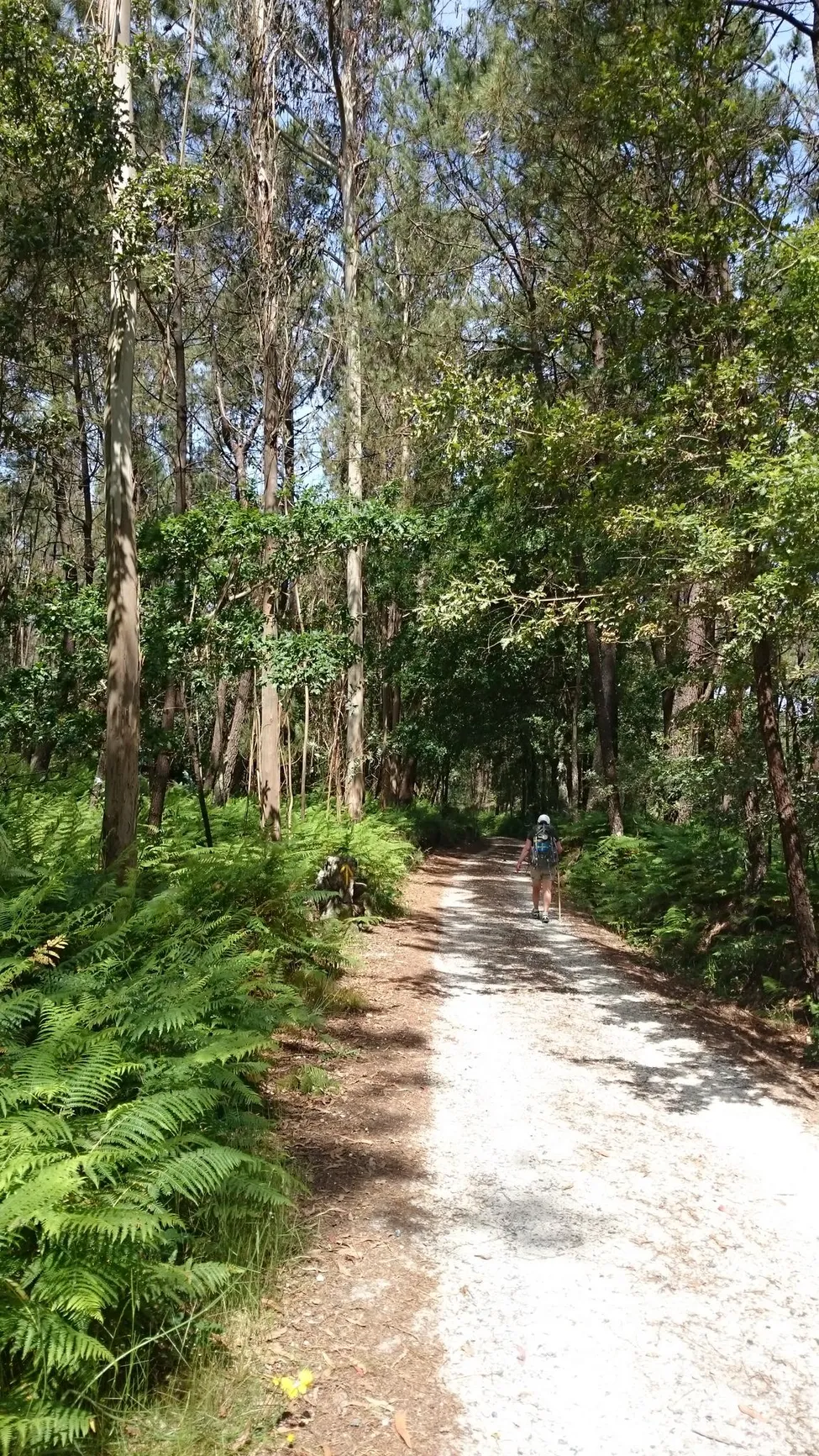 Klicka för att förstora