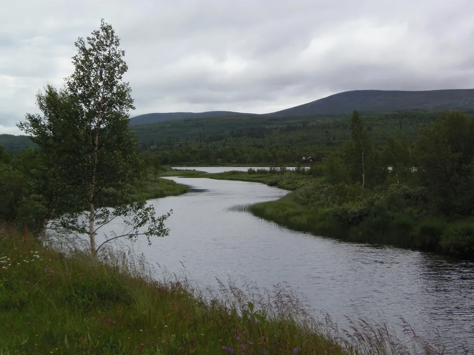 Klicka för att förstora
