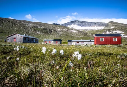 Ny app öppnar fjällen