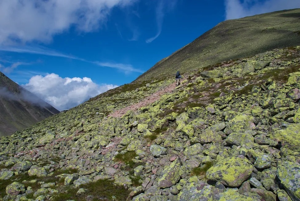 Klicka för att förstora