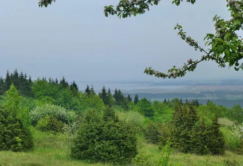 Ombergsleden – en vandring på drottning Ommas berg