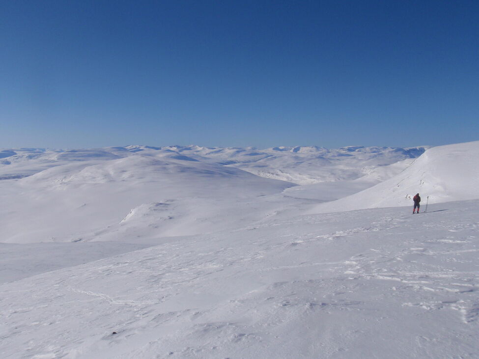 Klicka för att förstora
