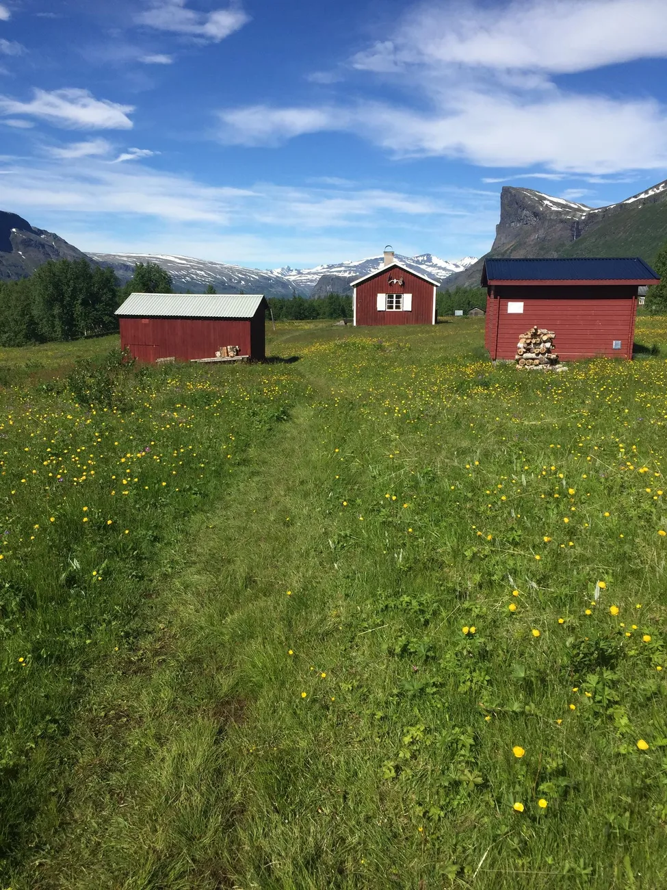 Klicka för att förstora