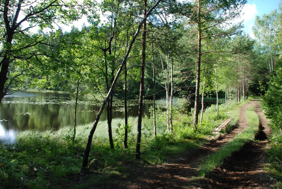 Klicka för att förstora