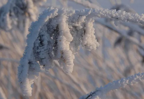 FOTOTÄVLING! Med känsla för snö och is