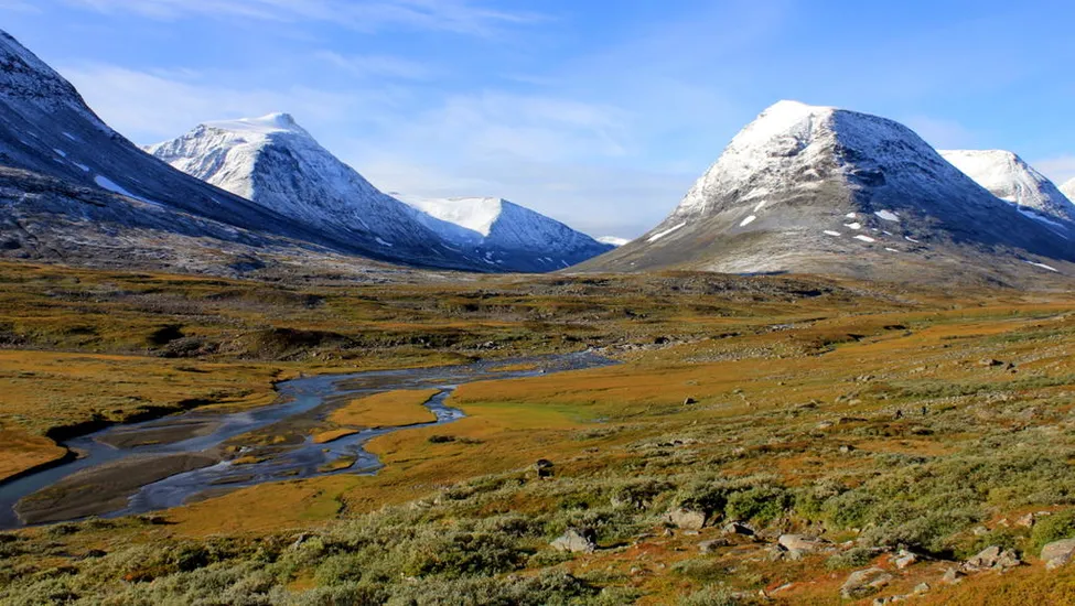 Klicka för att förstora