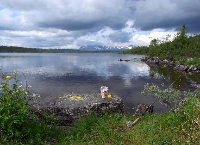 Klicka för att förstora