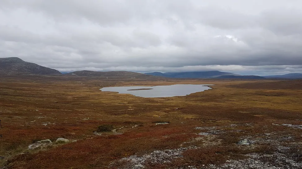Klicka för att förstora