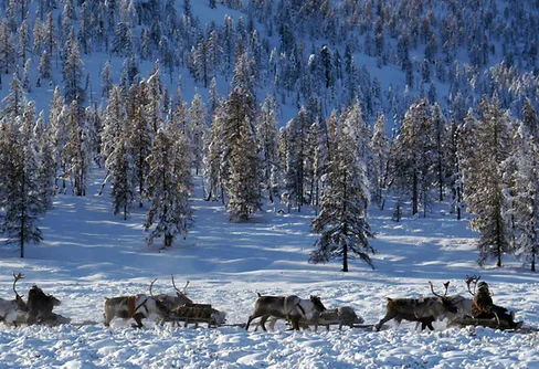 100 000 tittare som leder till längtan