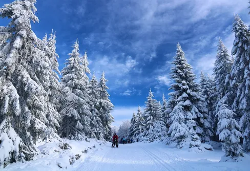 Så använder du friskvårdsbidraget till friluftsliv