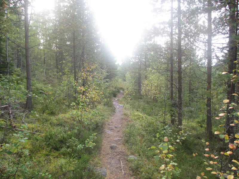 Klicka för att förstora