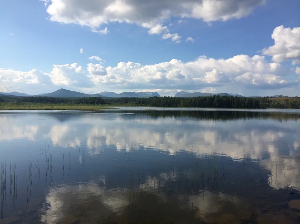 Klicka för att förstora