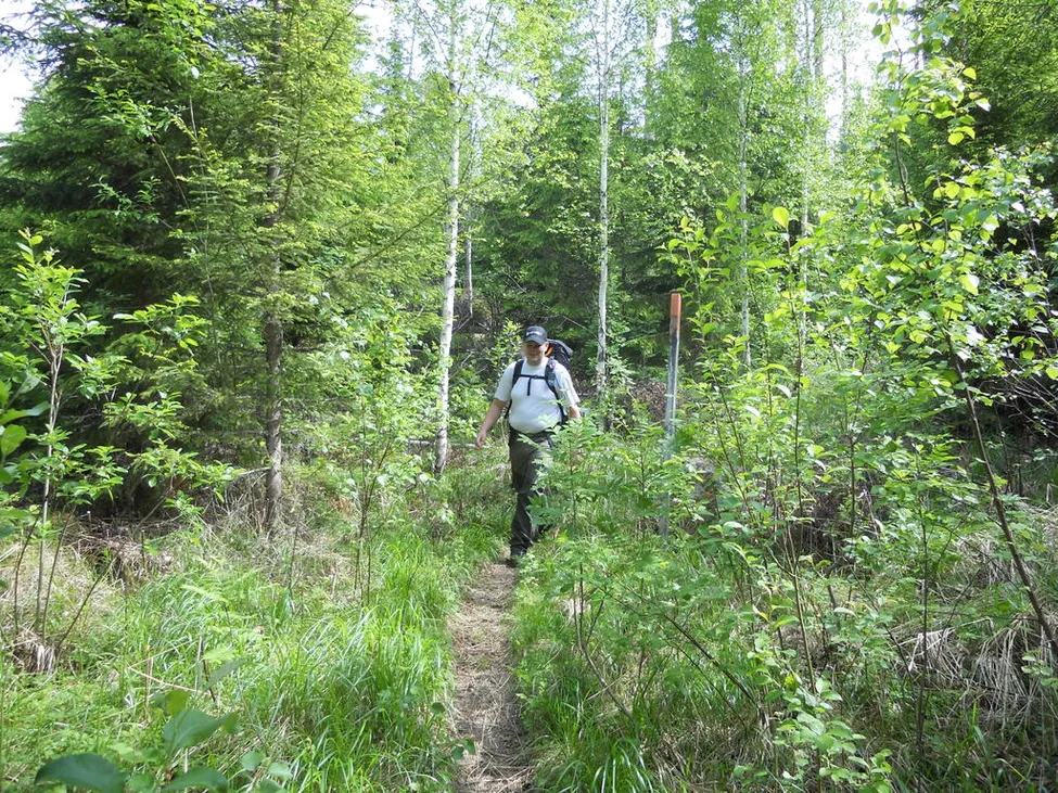 Klicka för att förstora