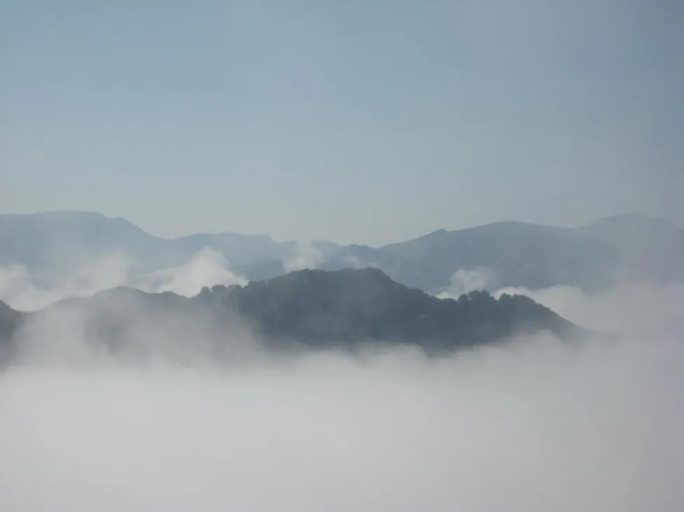 Klicka för att förstora