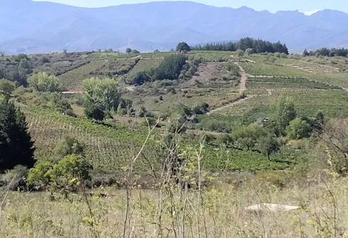 Vandring längst leden Santiago de Compostela-