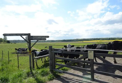 Friluftslivet påverkas av sänkt budget: ”Vi är oroliga”