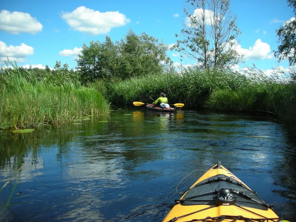 Klicka för att förstora
