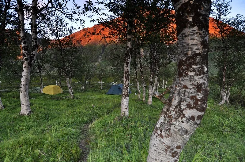 Klicka för att förstora