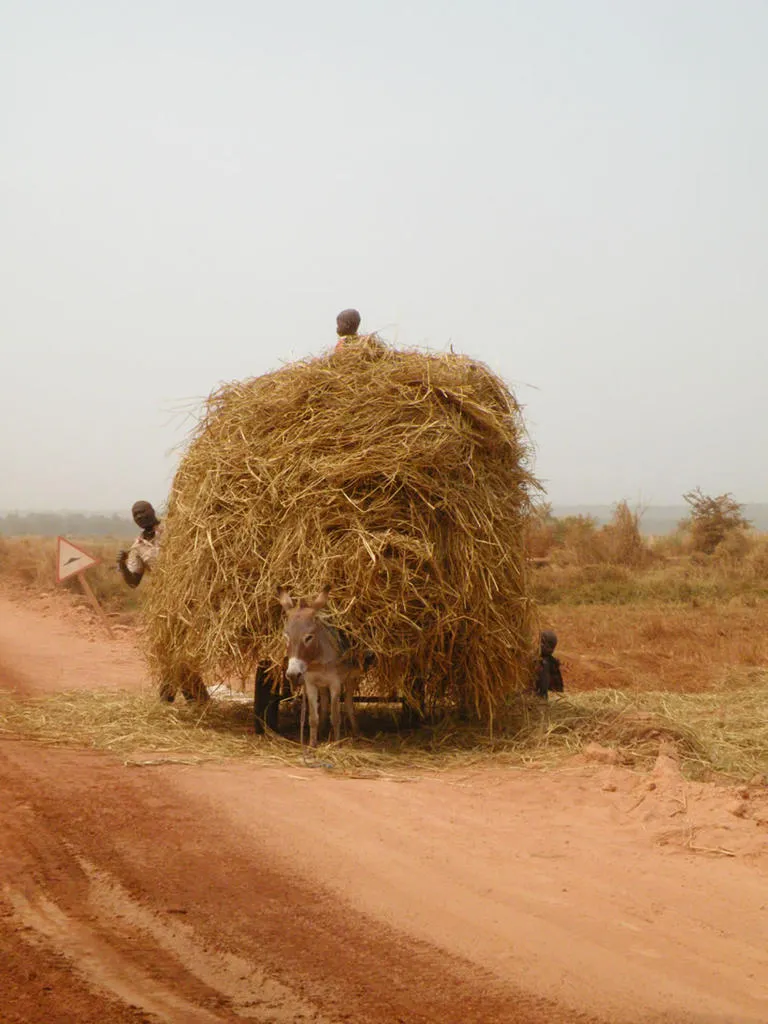 Klicka för att förstora