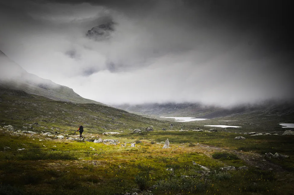 Klicka för att förstora