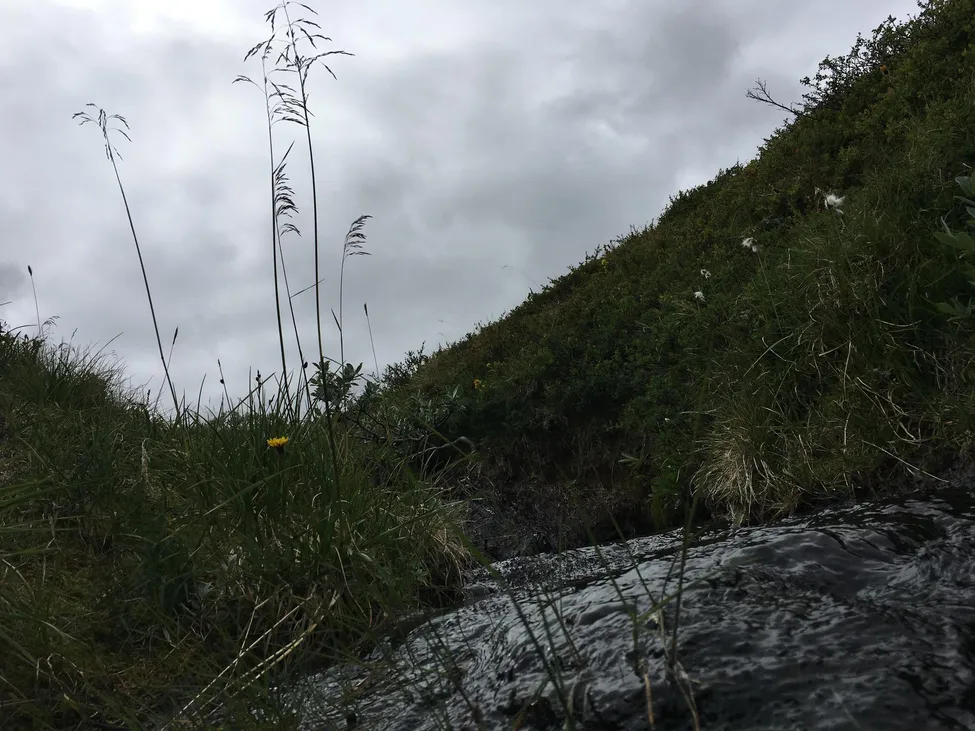 Klicka för att förstora