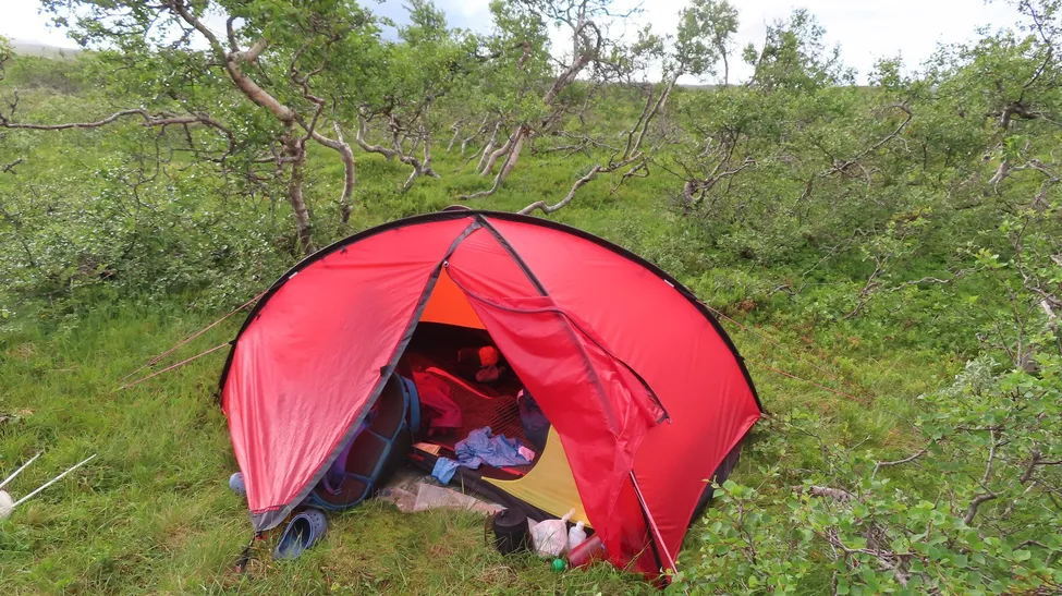 Klicka för att förstora