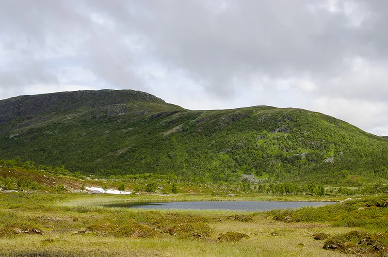 Klicka för att förstora