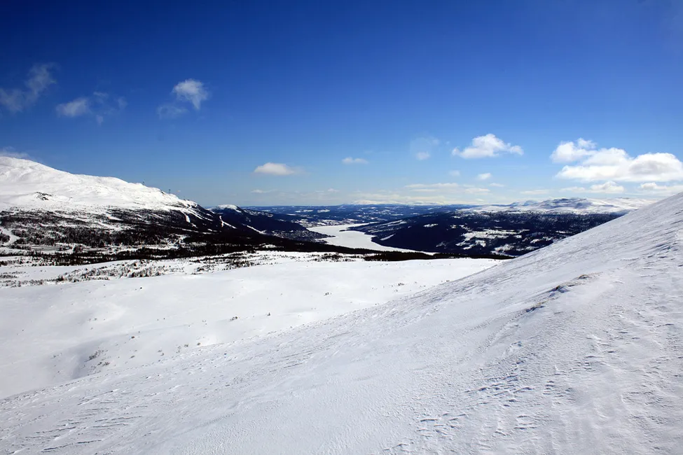 Klicka för att förstora