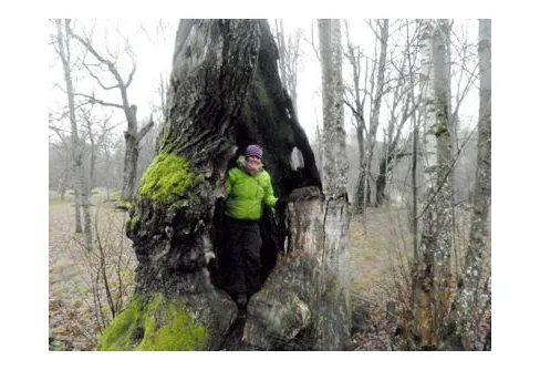 Nu är vi klara med alla 8 naturreservat i Stockholm stad (Flaten)