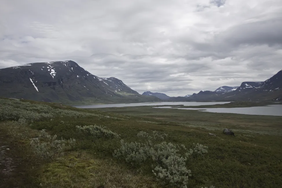 Klicka för att förstora
