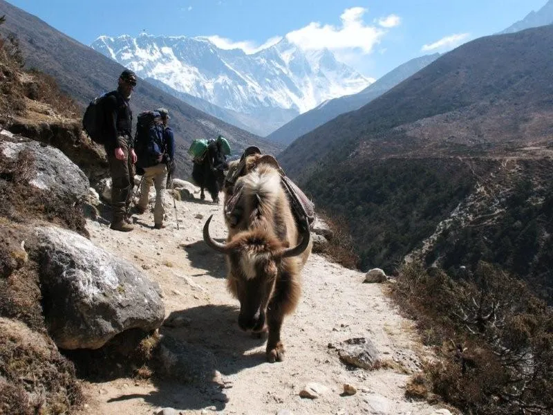 Klicka för att förstora