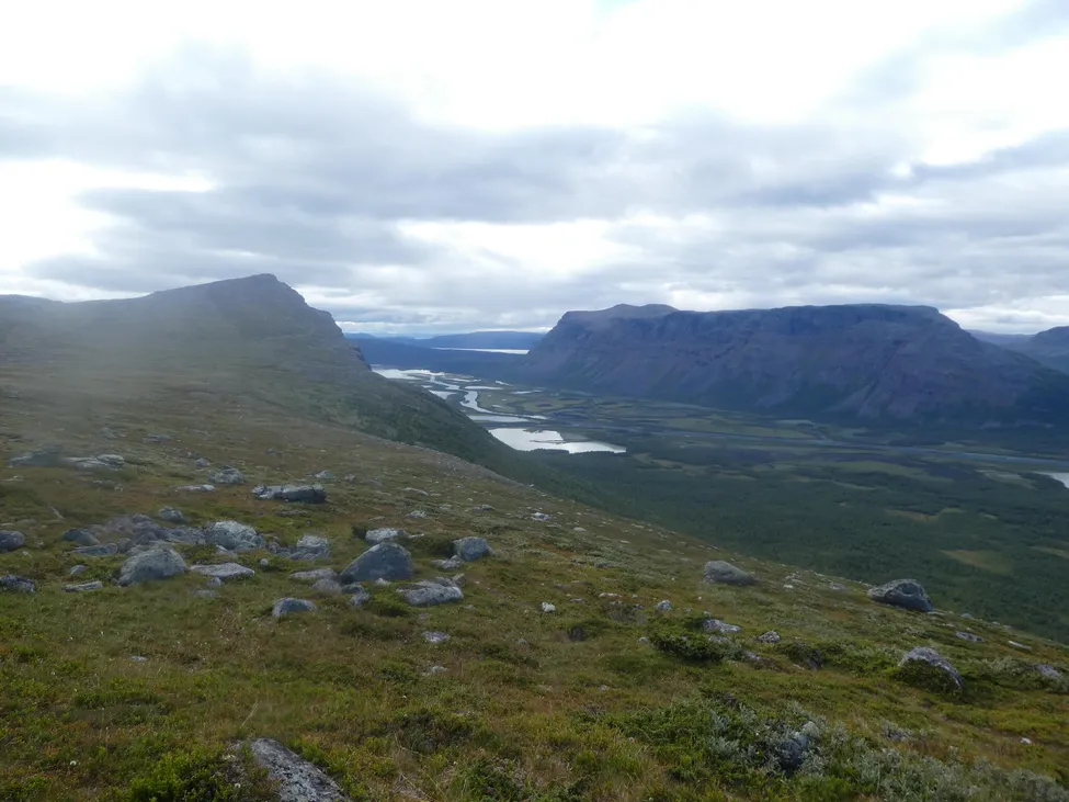 Klicka för att förstora