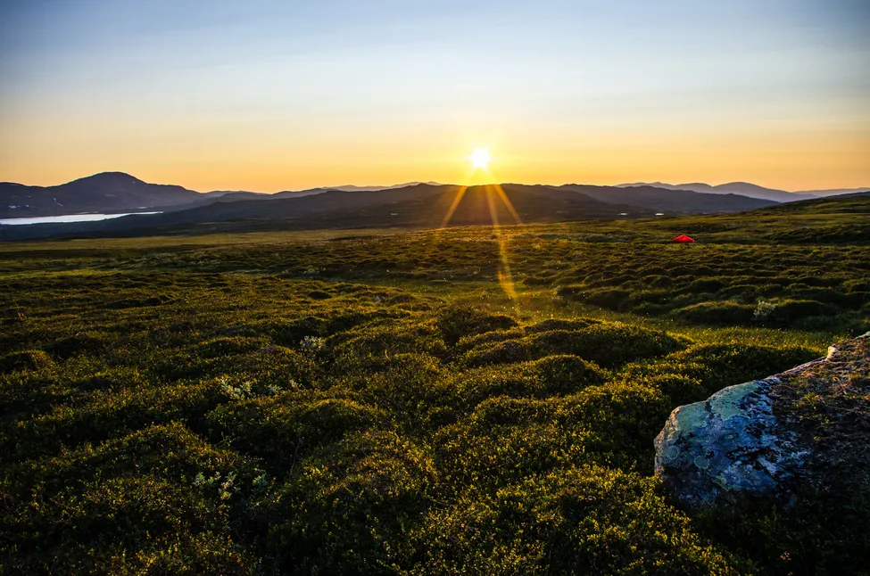 Klicka för att förstora