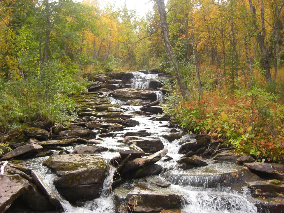 Klicka för att förstora