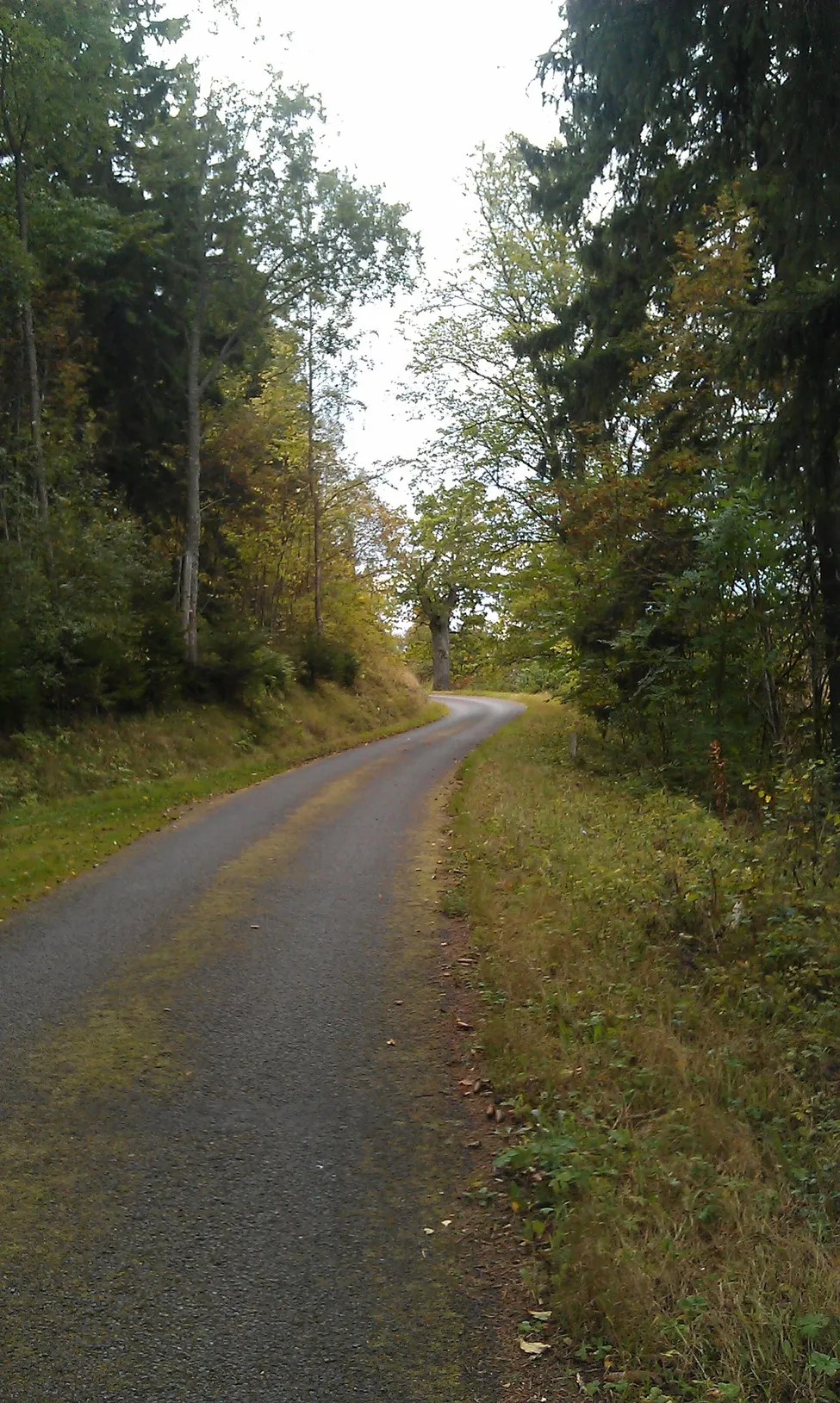 Klicka för att förstora