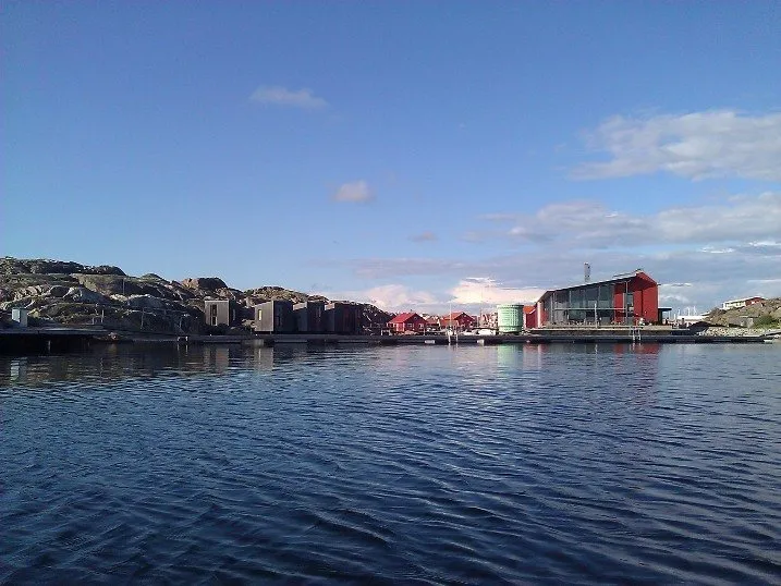 Klicka för att förstora