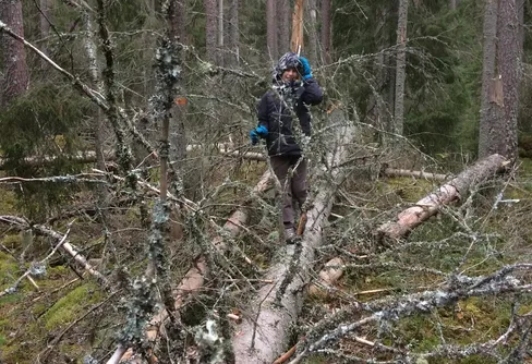 3 turer 3 personer -del 1, Råmossen, Kilsbergen