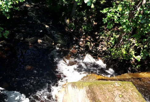 Kvarndammen och hultet.