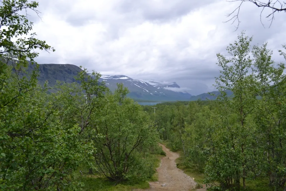 Klicka för att förstora