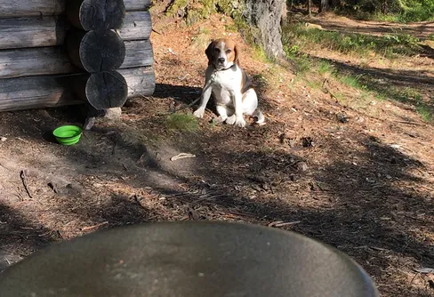 Vår, avbrutna turer och oavslutade blogginlägg