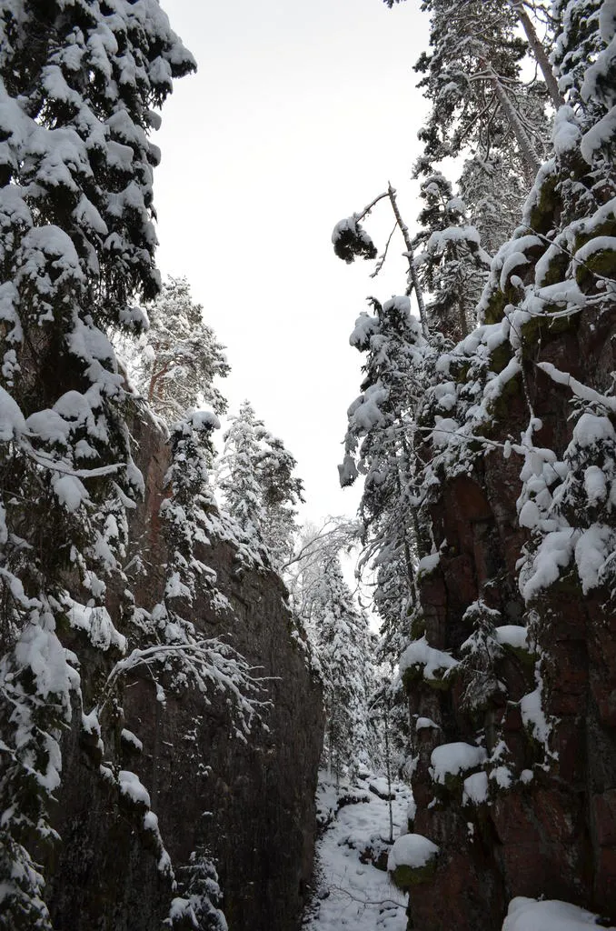 Klicka för att förstora