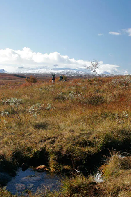 Klicka för att förstora
