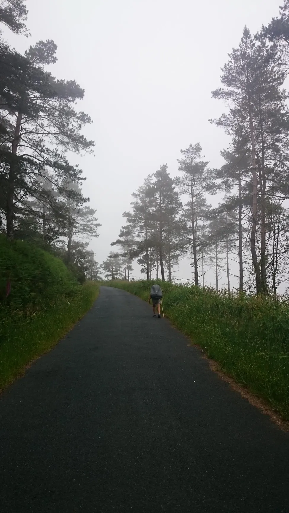 Klicka för att förstora