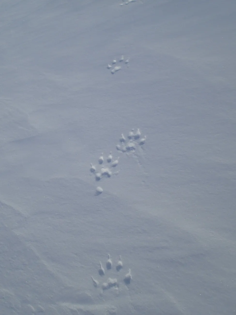 Klicka för att förstora