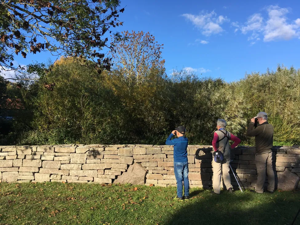 Klicka för att förstora