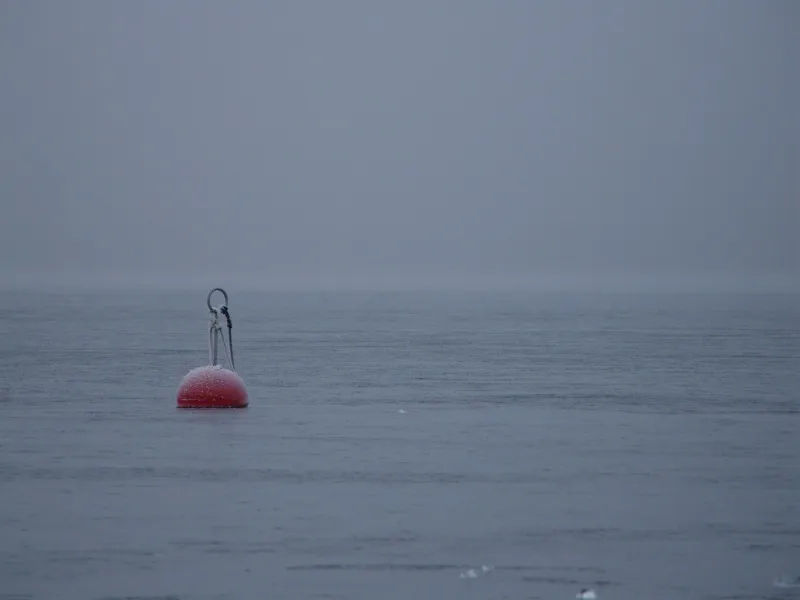 Klicka för att förstora