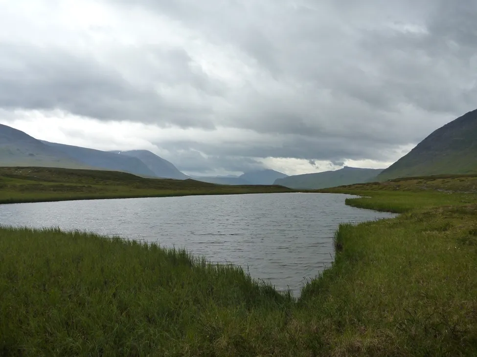 Klicka för att förstora