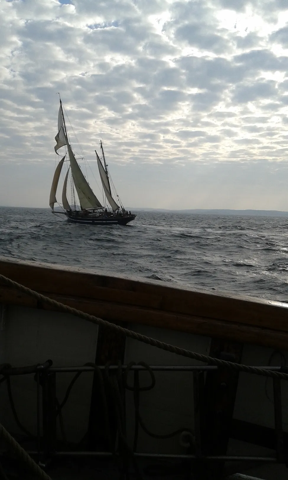 Klicka för att förstora