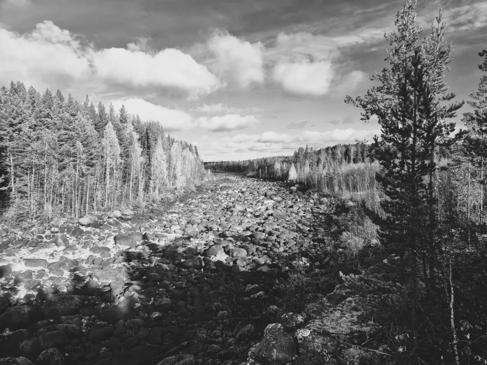 Klicka för att förstora