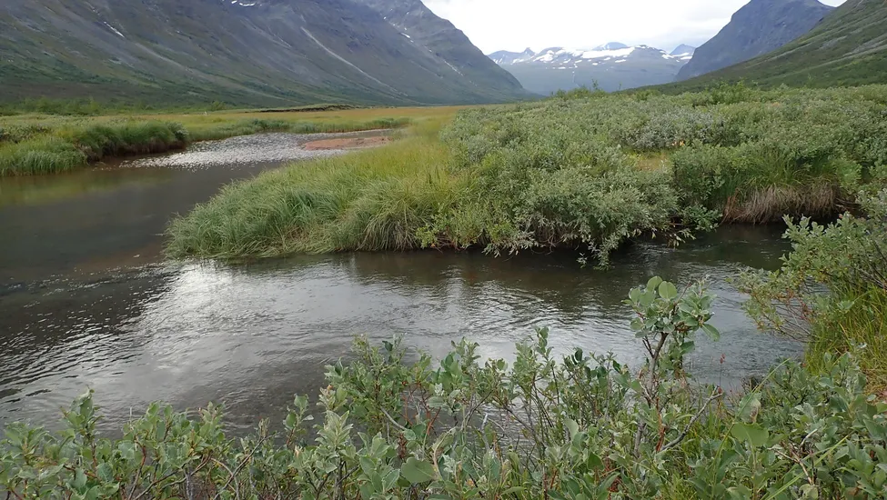 Klicka för att förstora